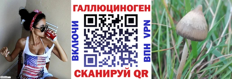 Псилоцибиновые грибы Magic Shrooms  Купить где  Коряжма 